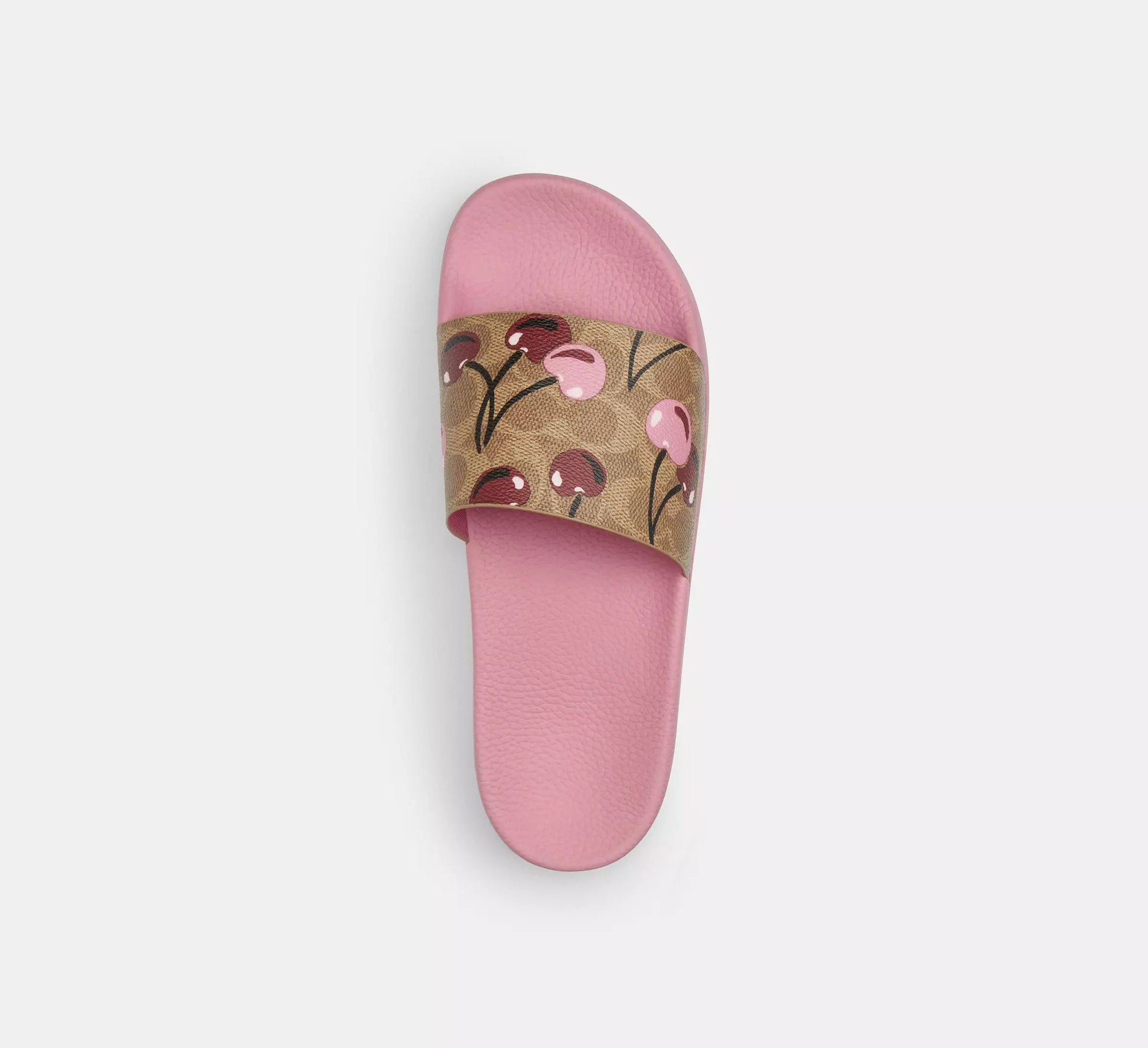 Teri Summer Slides
