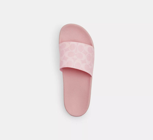 Teri Summer Slides