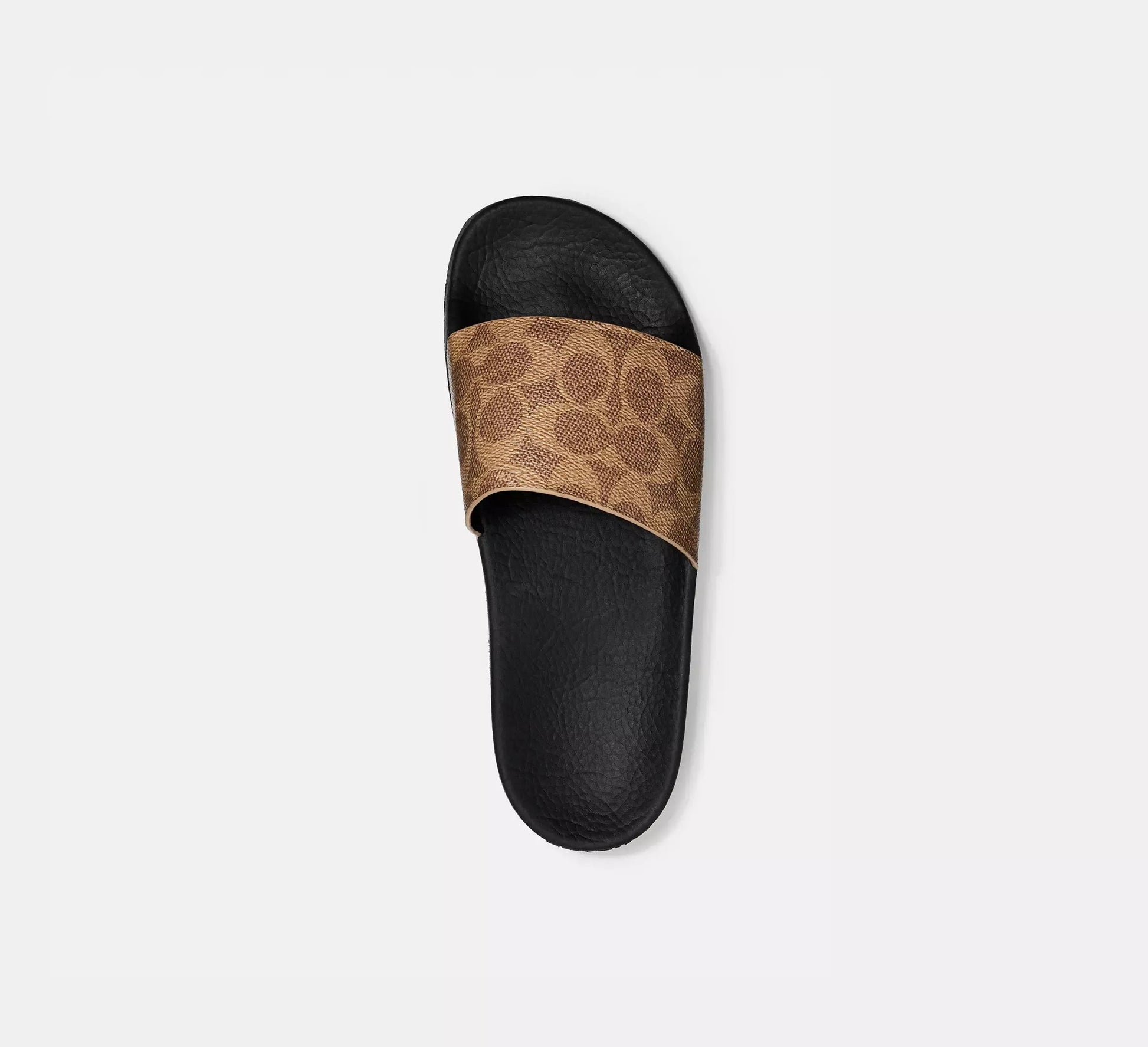 Teri Summer Slides