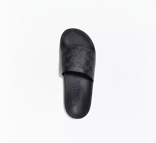 Teri Summer Slides